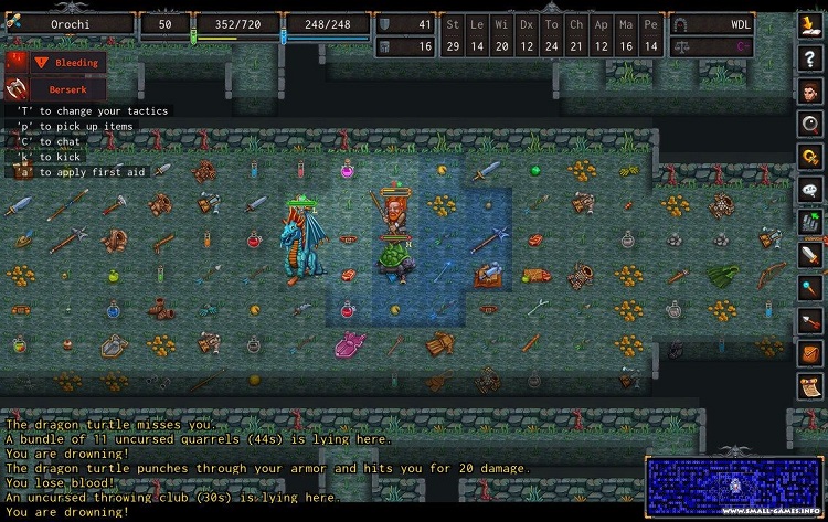 What is a Roguelike Games: Main Features & Examples Video Games